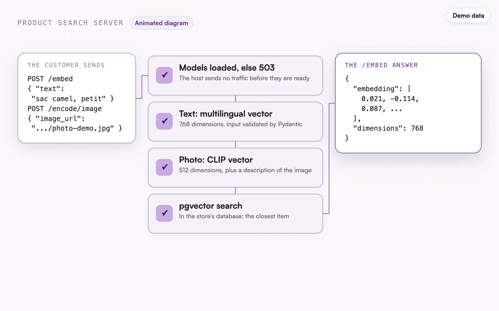 The animated diagram, demo data: the embedding the API returns.